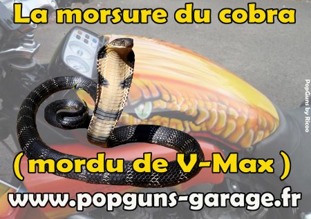 Mordu de V-Max