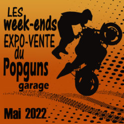 Les expo-ventes du Popguns garage
